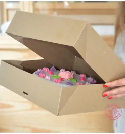 2 boites de transport pour macarons et biscuits