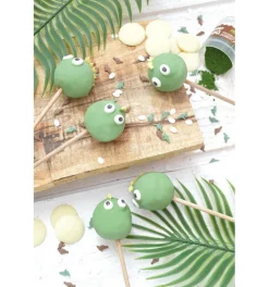 20 bâtonnets pour cake pops