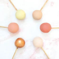 20 bâtonnets pour cake pops