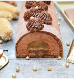 Coffret bûche de Noël - Moules, insert, tapis & recettes