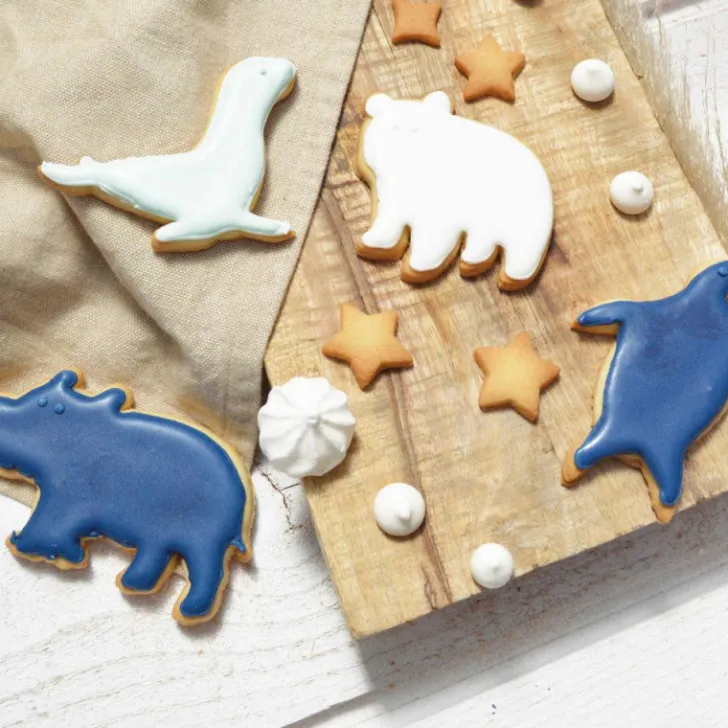 Colorant alimentaire en poudre - bleu nuit