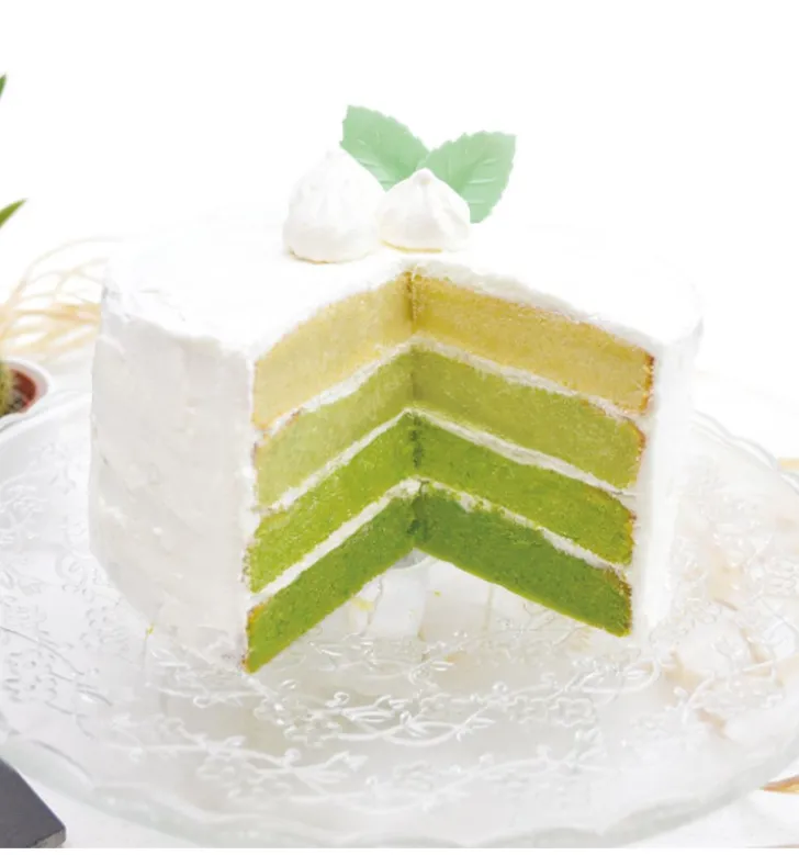 Colorant alimentaire en poudre - vert