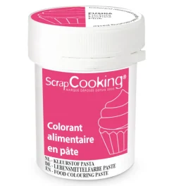 Colorant alimentaire en pâte fuchsia 20g