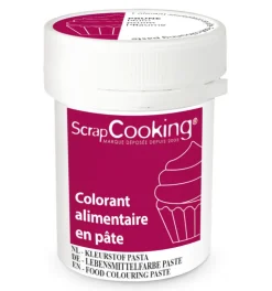 Colorant alimentaire en pâte prune 20g