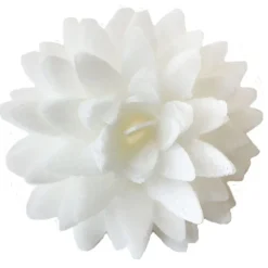 Décors azyme fleurs dahlias blanches x5