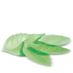 Décos azymes 24 feuilles vertes