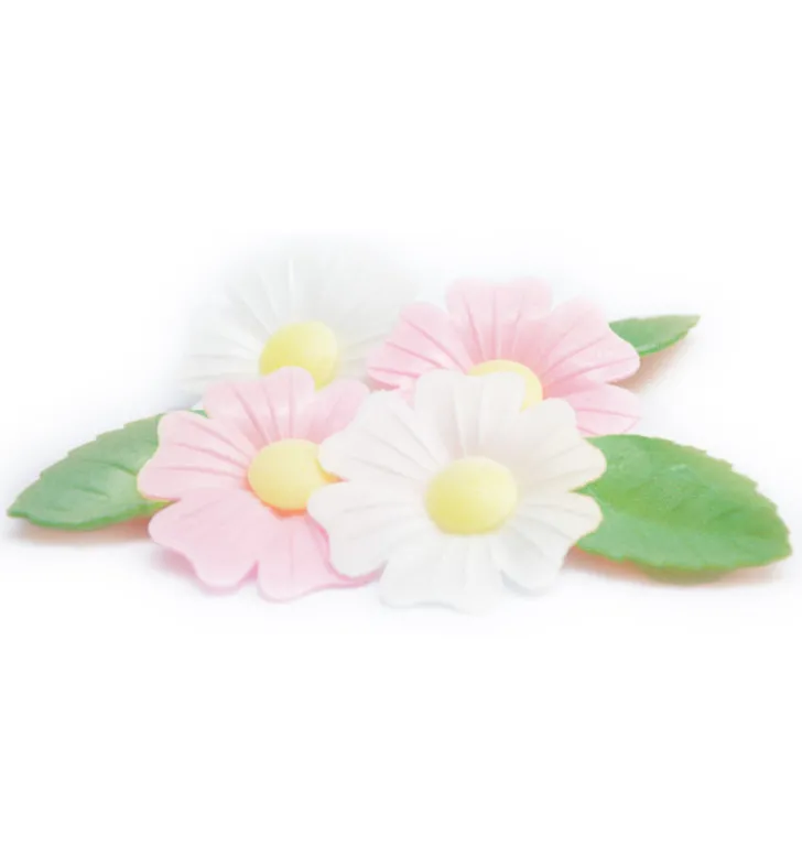 Fleurs azyme églantines x6 & feuilles vertes x6