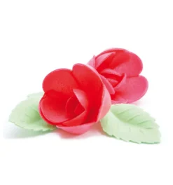 Fleurs azyme roses rouges x4 & feuilles vertes x6