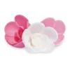 Fleurs azymes 6 roses
