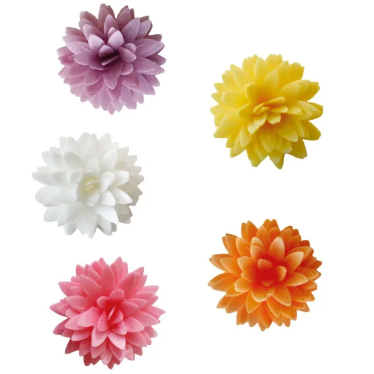 Fleurs dahlias assortis en azyme x5
