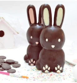 Moule 3D choco lapin