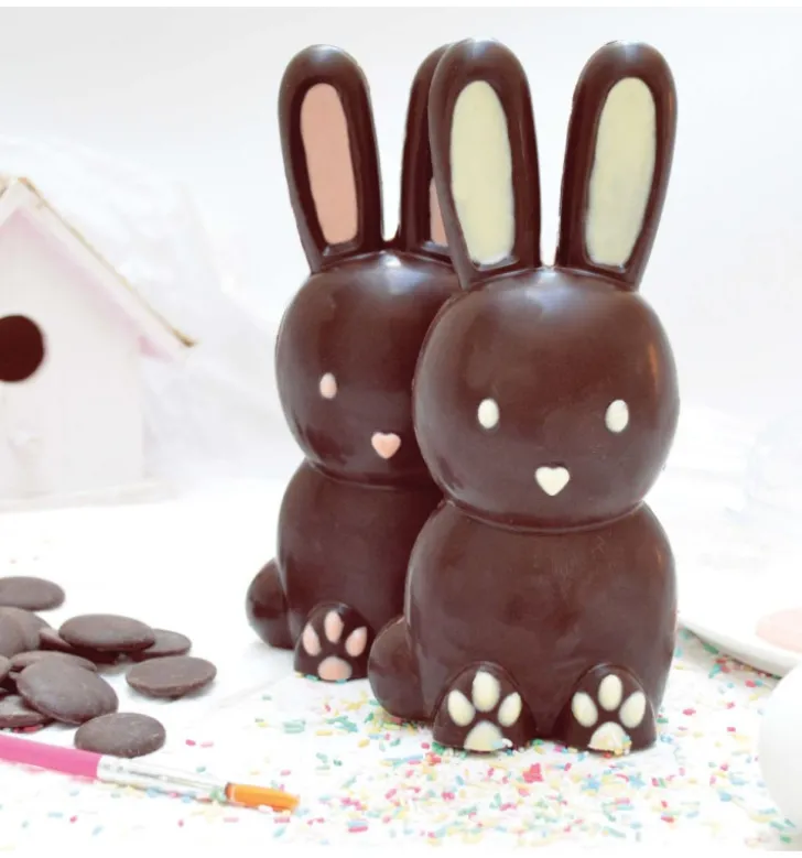 Moule 3D choco lapin