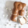 Moule 3D choco ourson