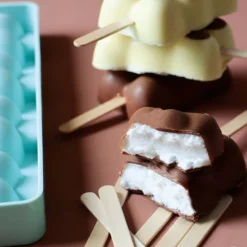 Moule en silicone pour glaces Magnum oursons