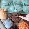 Moule à gâteaux silicone animaux de la jungle