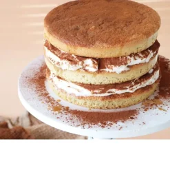 Moules Layer Cake en Silicone x5