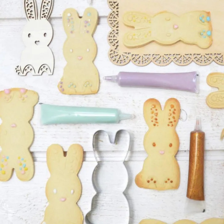 Préparation en poudre pour biscuits nature maison