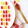 Préparation pour bonbons fraise 100g
