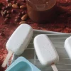 Préparation pour crème glacée à la vanille