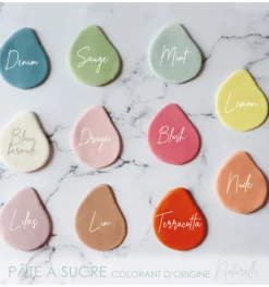 Pâte à sucre colorant d'origine naturelle Sauge 250g