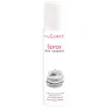 Spray colorant en bombe ARGENT