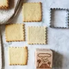 Tampon à biscuits Dinosaure et emporte pièce