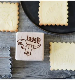 Tampon à biscuits Dinosaure et emporte pièce